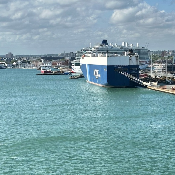 Meet your Posher, Kitty - Picture 7 of 12